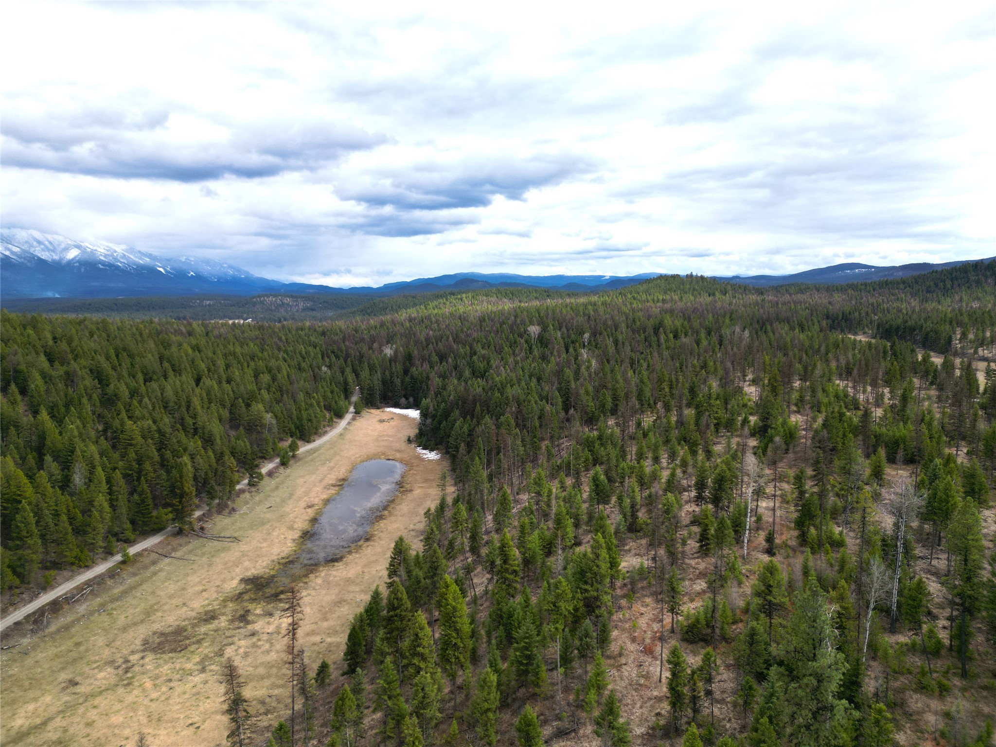 Nhn 120 Acres South Property Photo 9