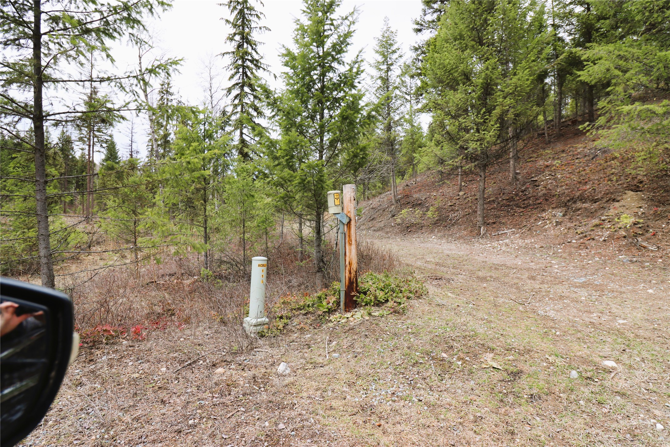 Nhn 120 Acres South Property Photo 11