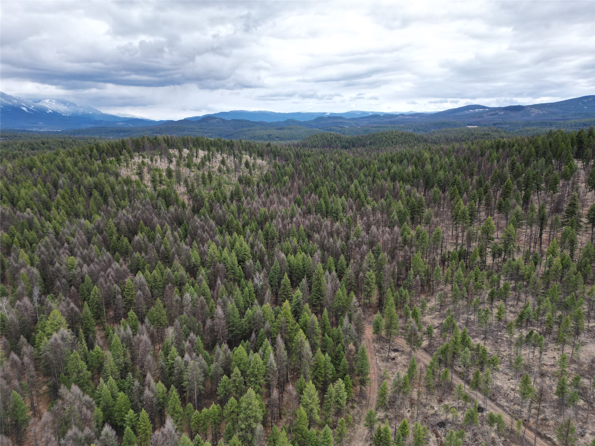 Nhn 120 Acres South Property Photo 12