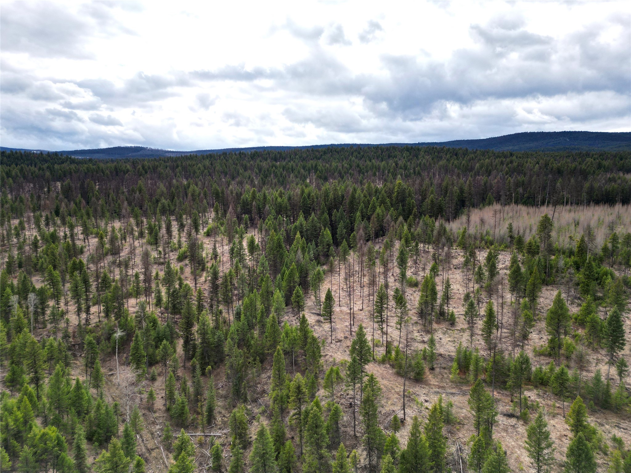 Nhn 120 Acres South Property Photo 16