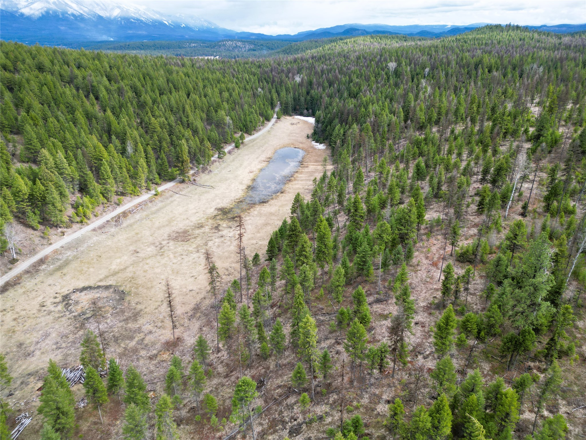Nhn 120 Acres South Property Photo 17