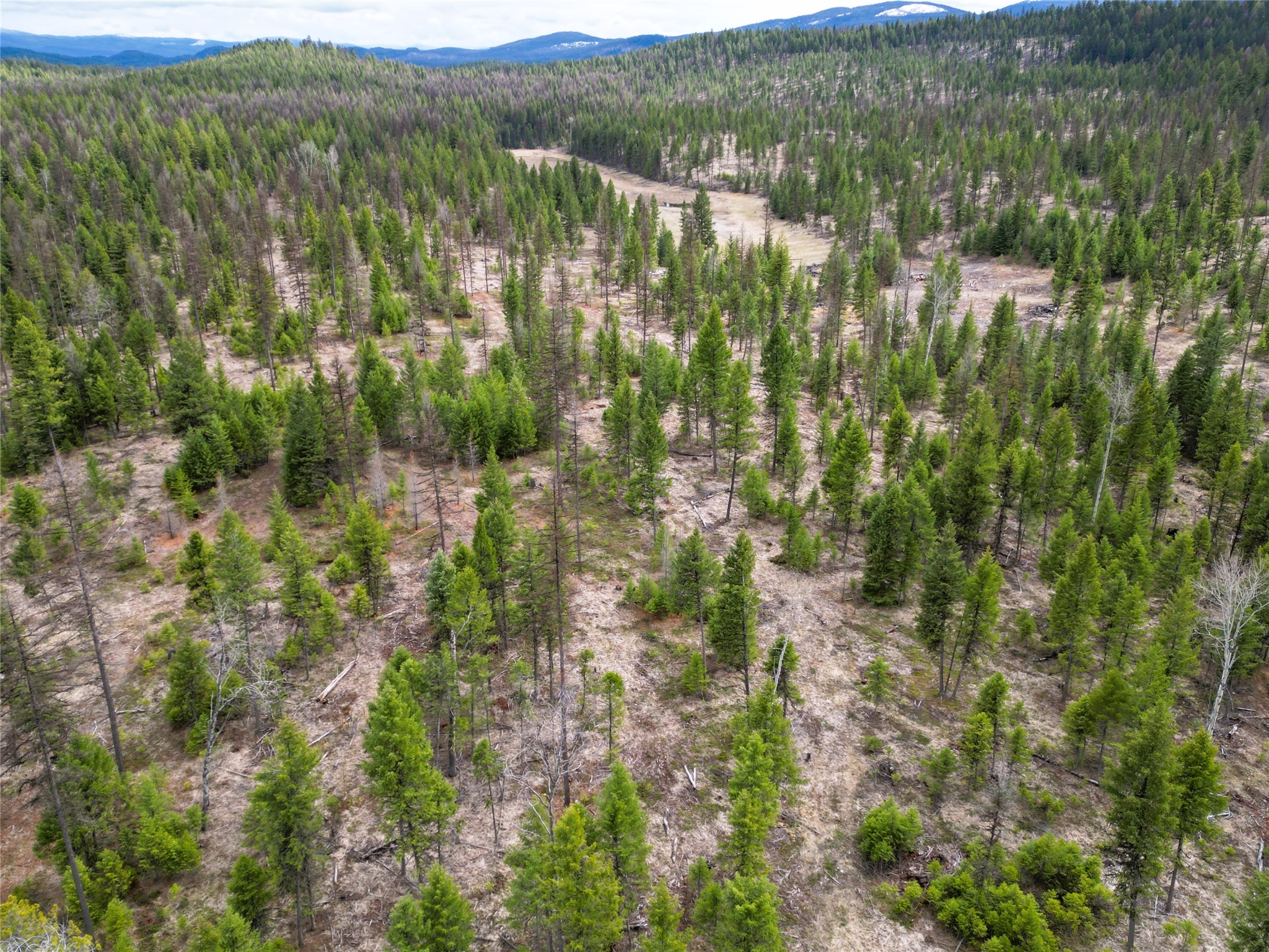 Nhn 120 Acres South Property Photo 19