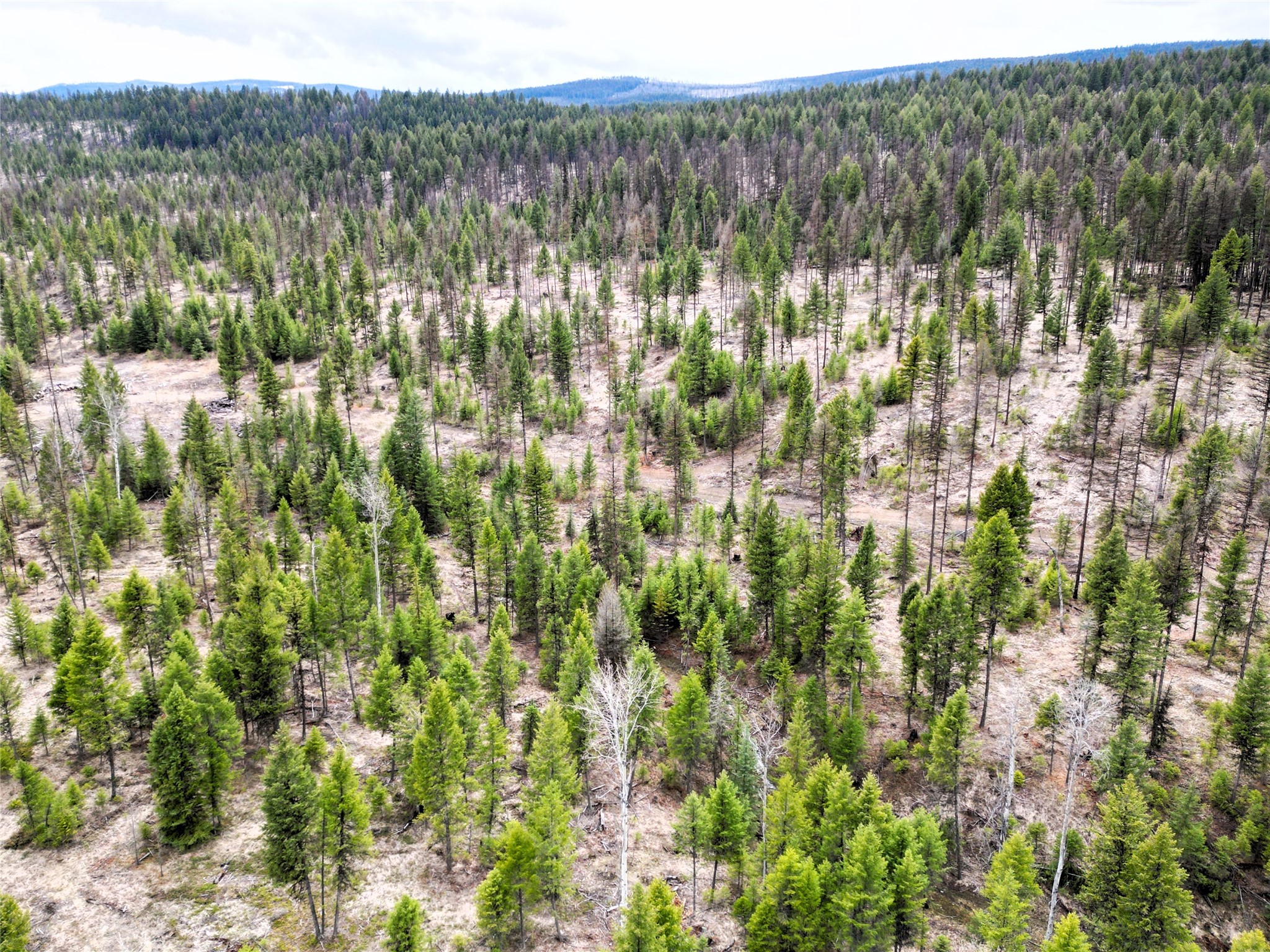 Nhn 120 Acres South Property Photo 20