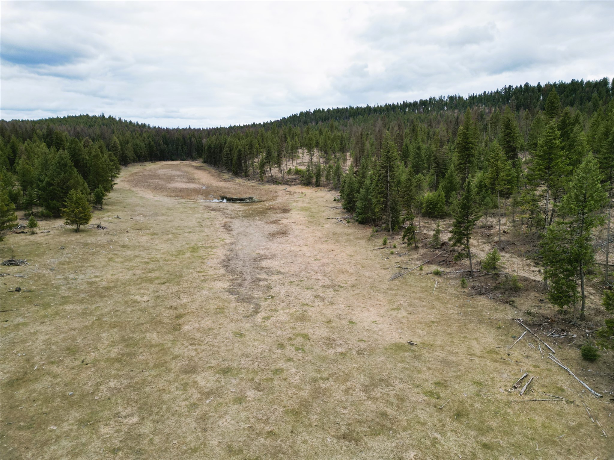 Nhn 120 Acres South Property Photo 23