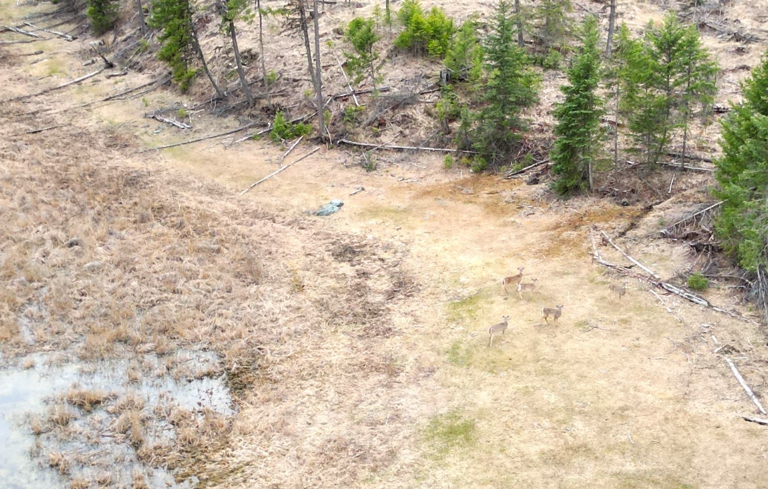 Nhn 120 Acres South Property Photo 24
