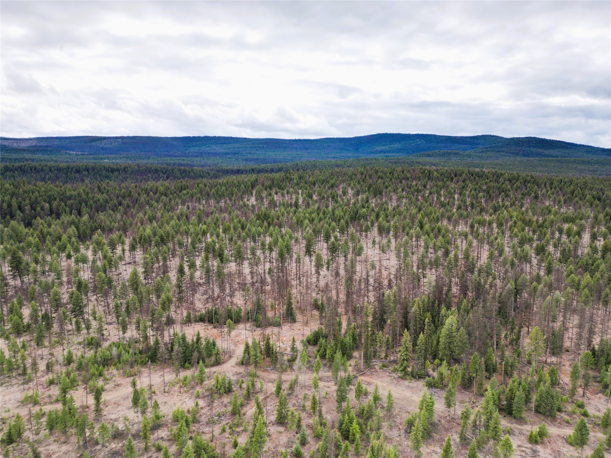 Nhn 120 Acres South Property Photo 25