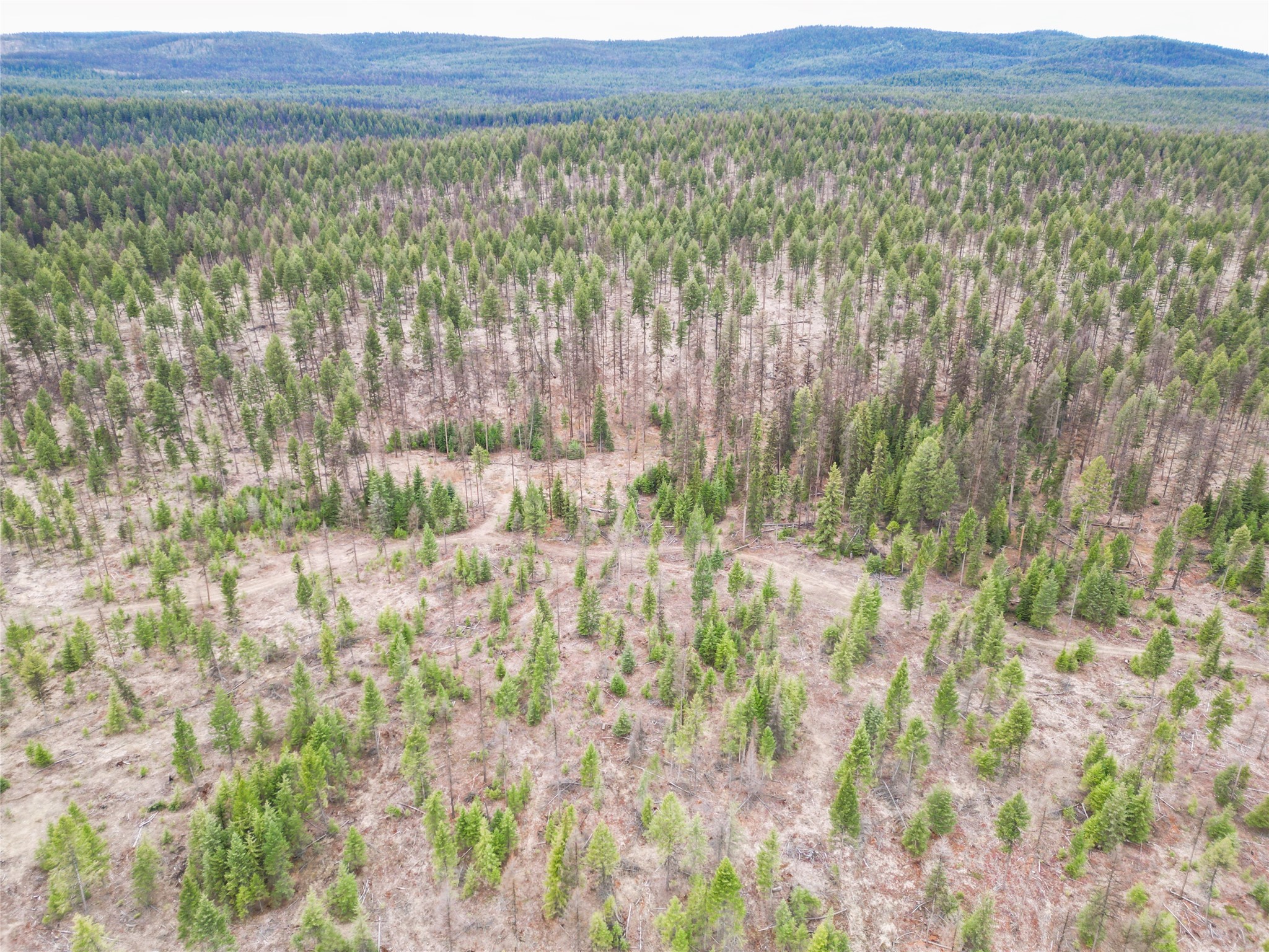 Nhn 120 Acres South Property Photo 26