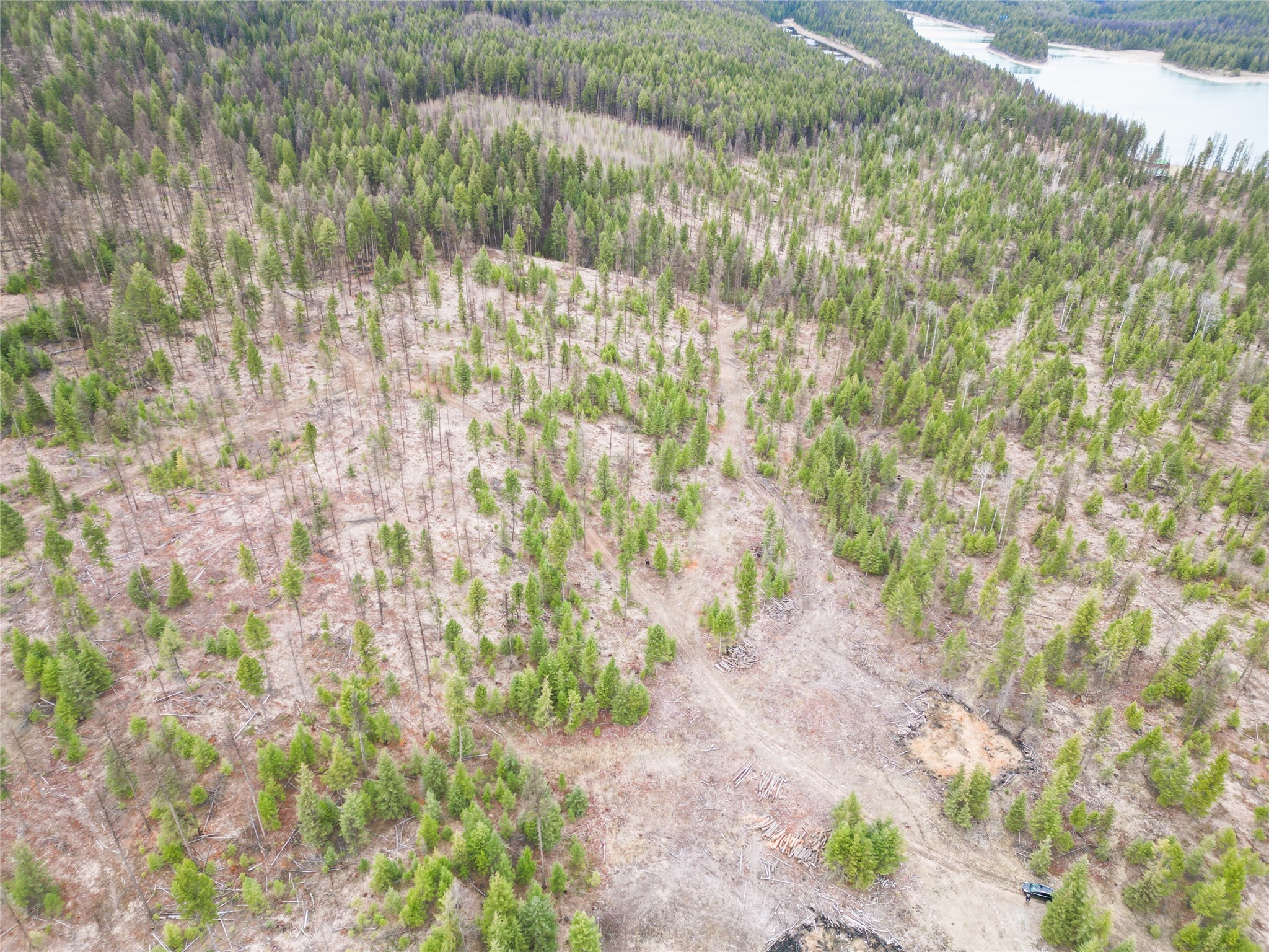 Nhn 120 Acres South Property Photo 27