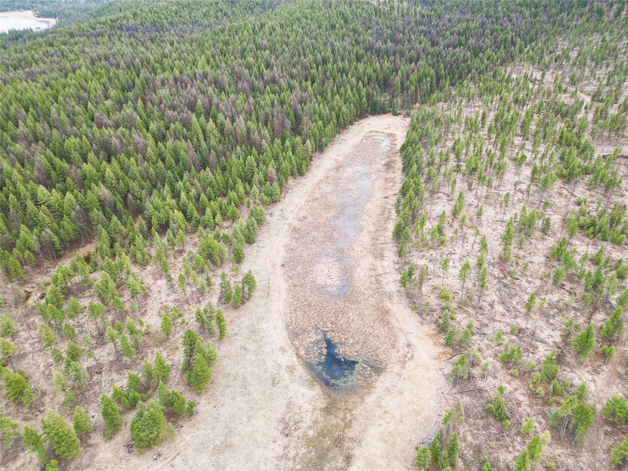 Nhn 120 Acres South Property Photo 28