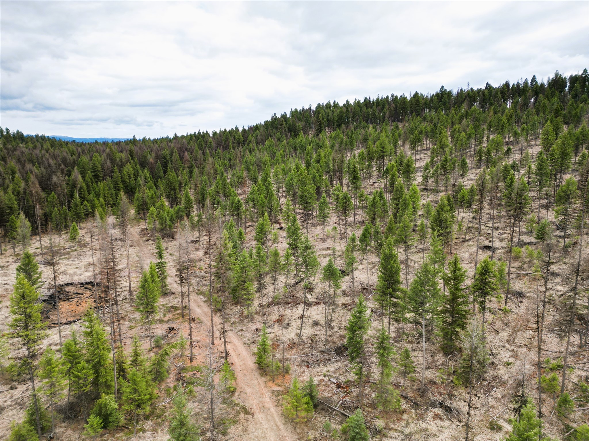 Nhn 120 Acres South Property Photo 31