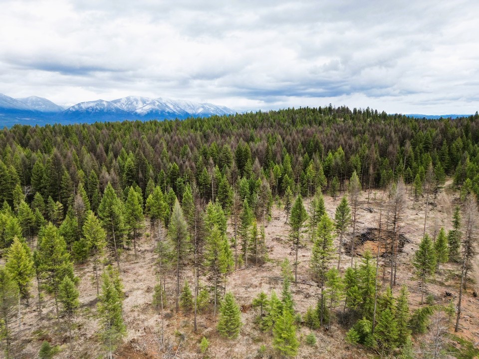Nhn 120 Acres South Property Photo 32