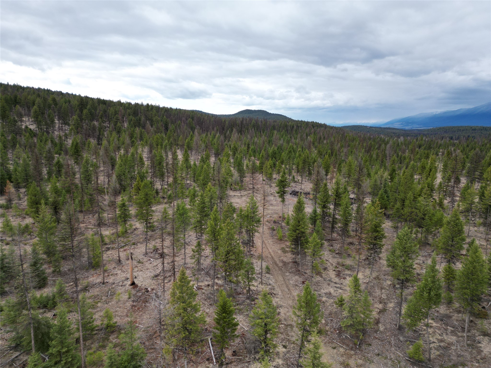 Nhn 120 Acres South Property Photo 34