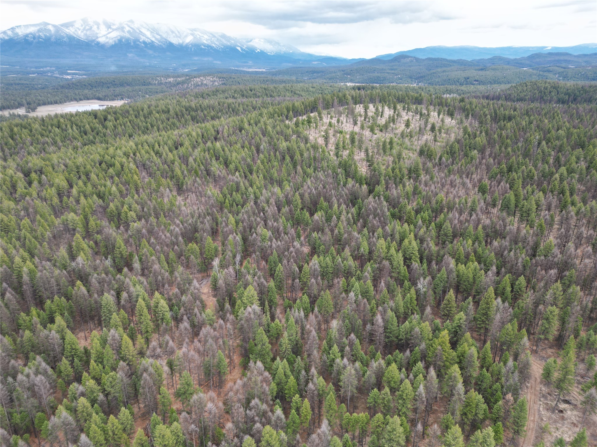 Nhn 120 Acres South Property Photo 35