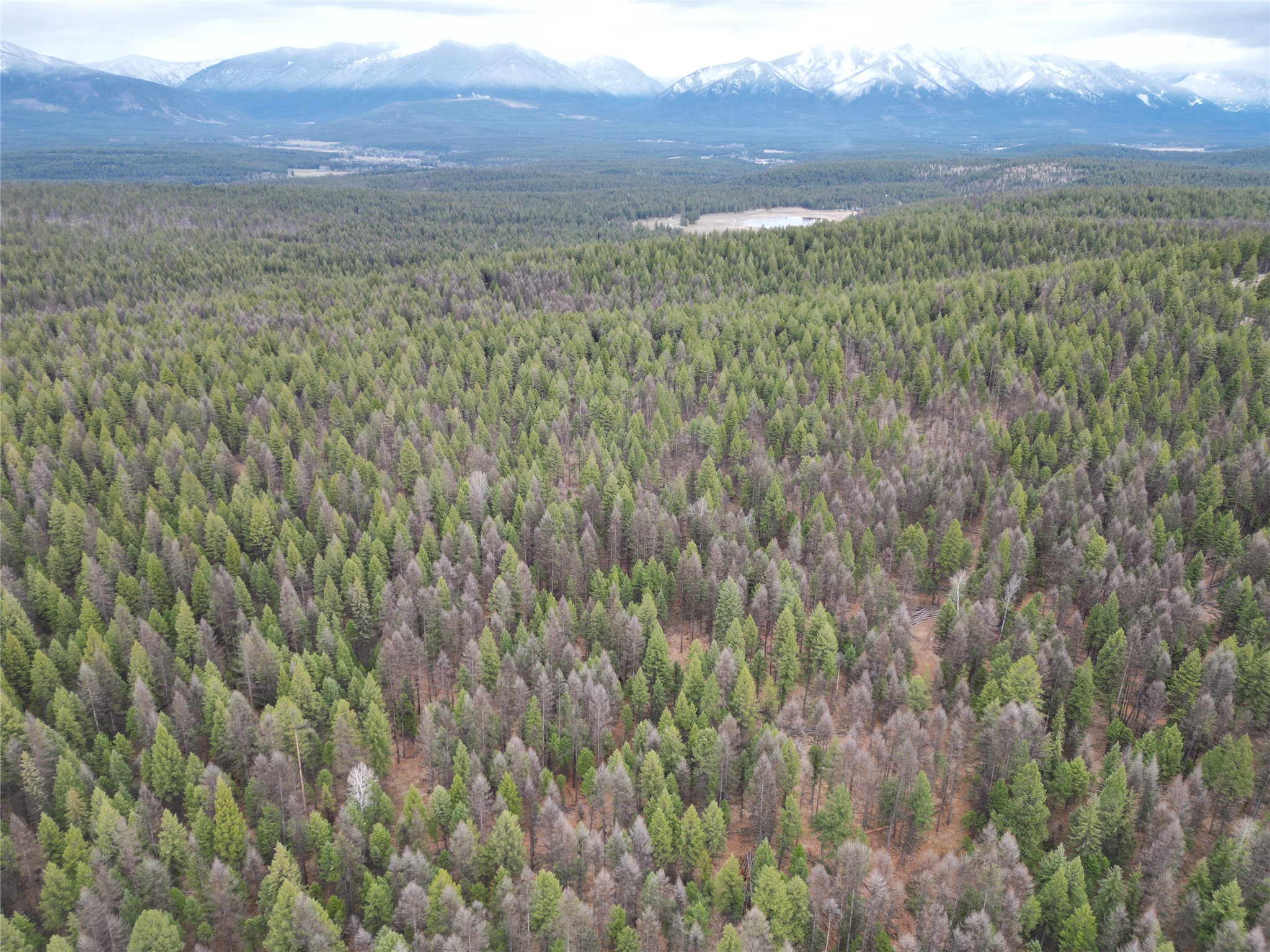 Nhn 120 Acres South Property Photo 36