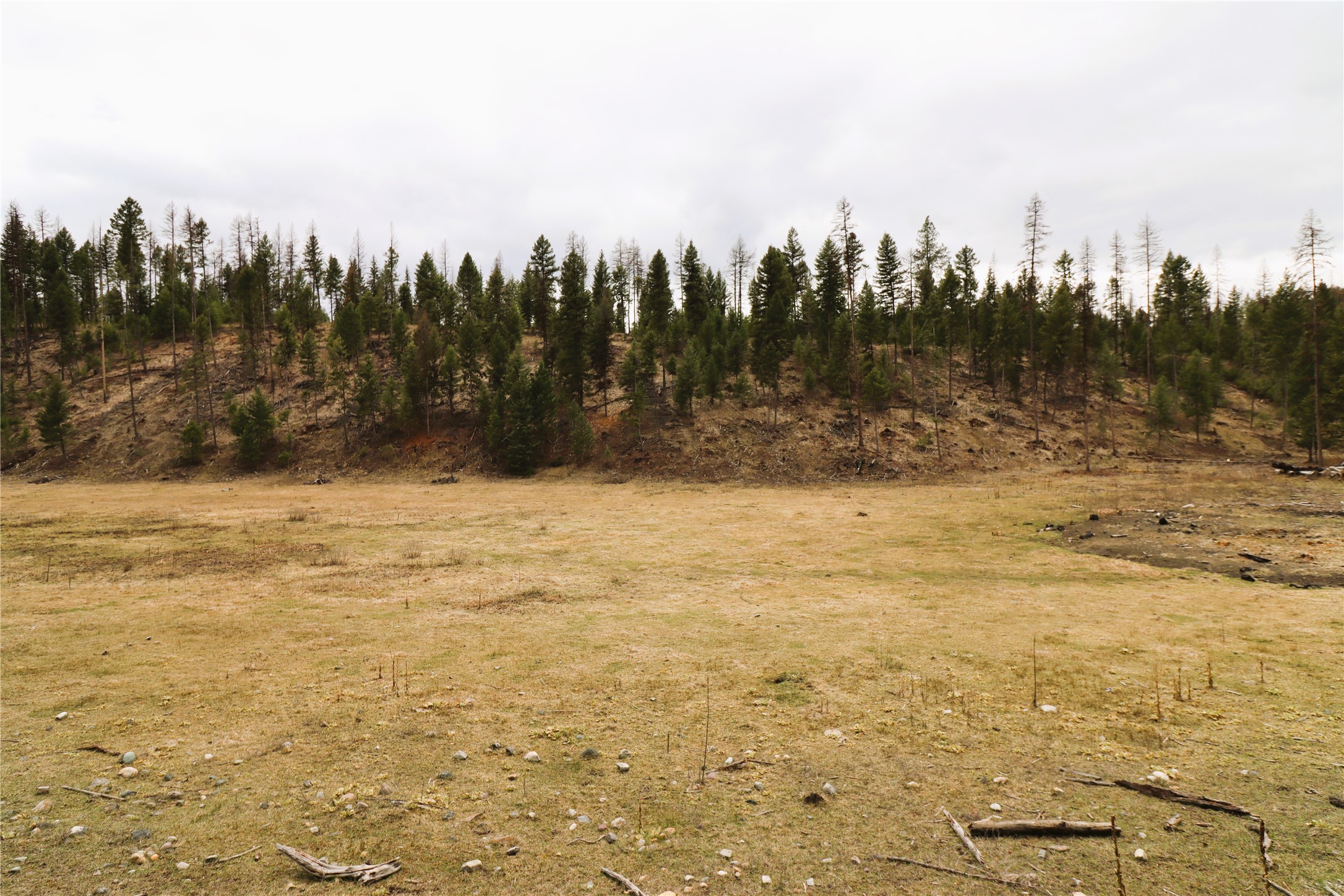 Nhn 120 Acres South Property Photo 38