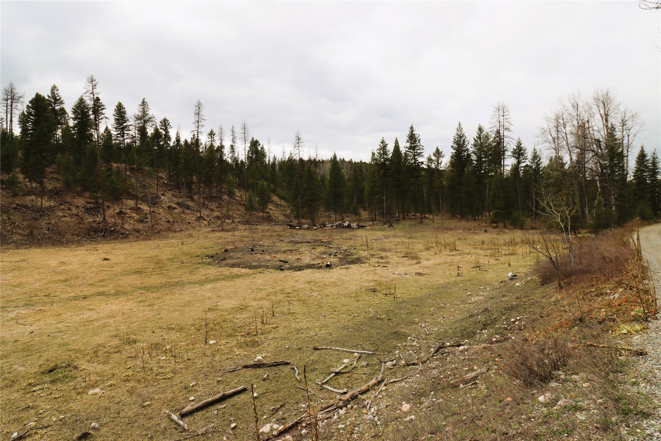 Nhn 120 Acres South Property Photo 39