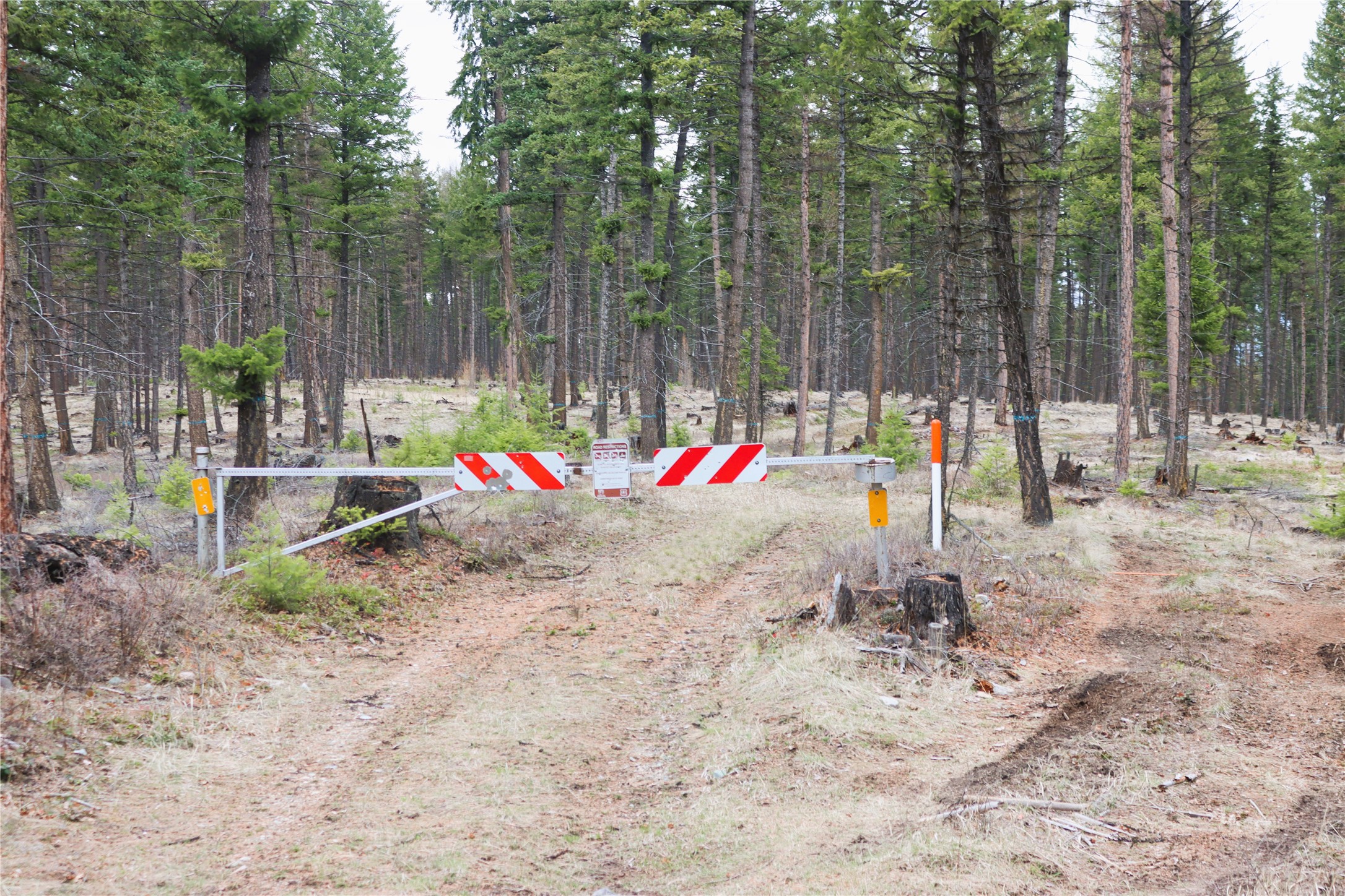 Nhn 120 Acres South Property Photo 40