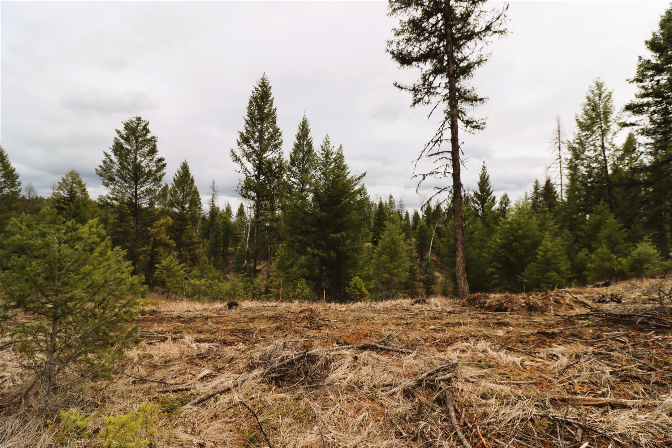 Nhn 120 Acres South Property Photo 41