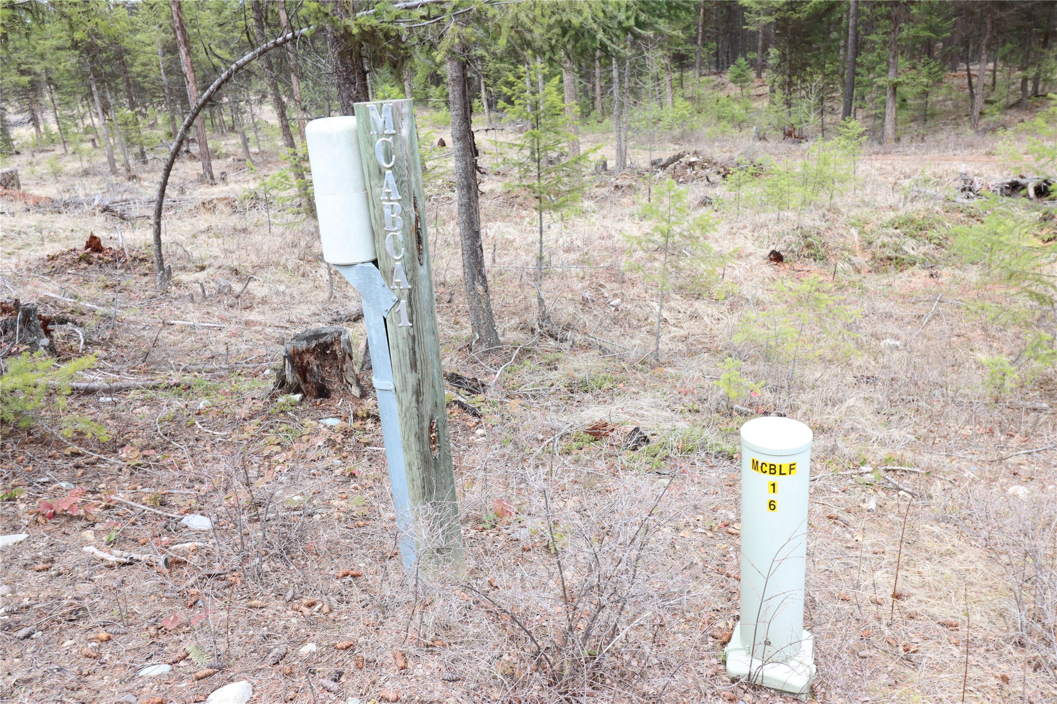 Nhn 120 Acres South Property Photo 44