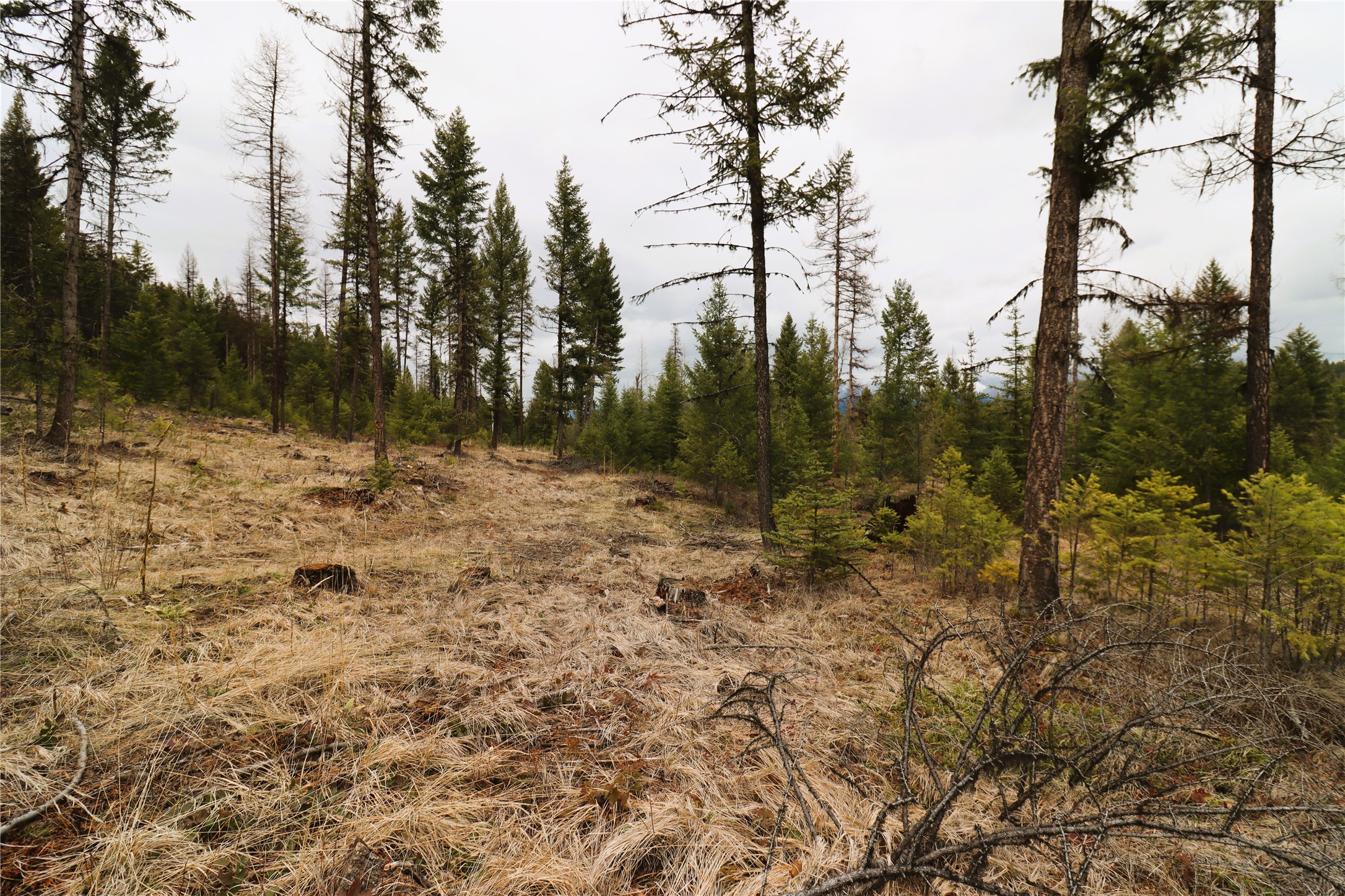 Nhn 120 Acres South Property Photo 46