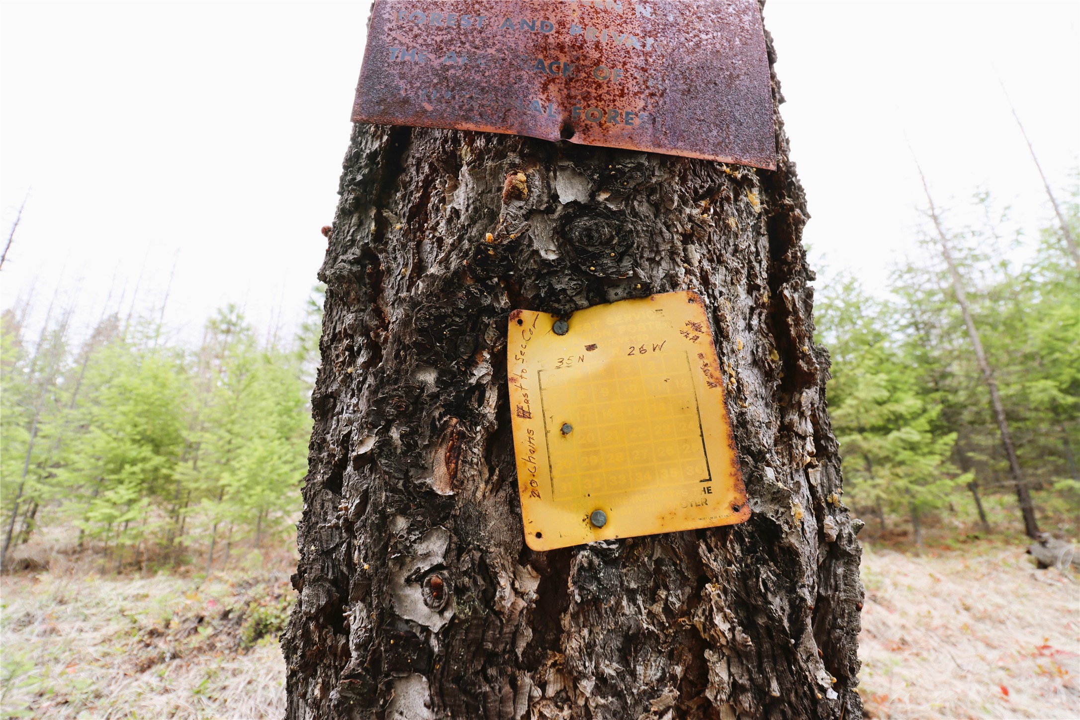 Nhn 120 Acres South Property Photo 50