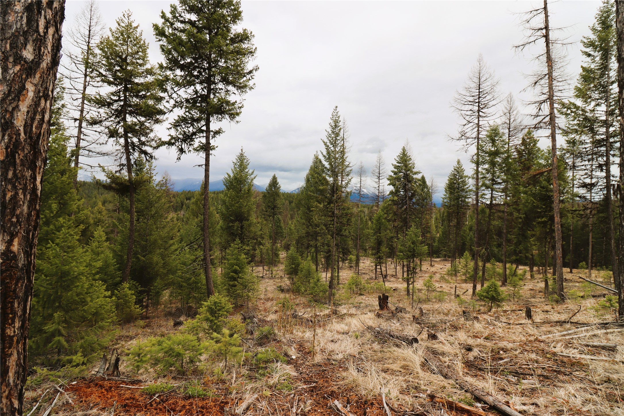 Nhn 120 Acres South Property Photo 53