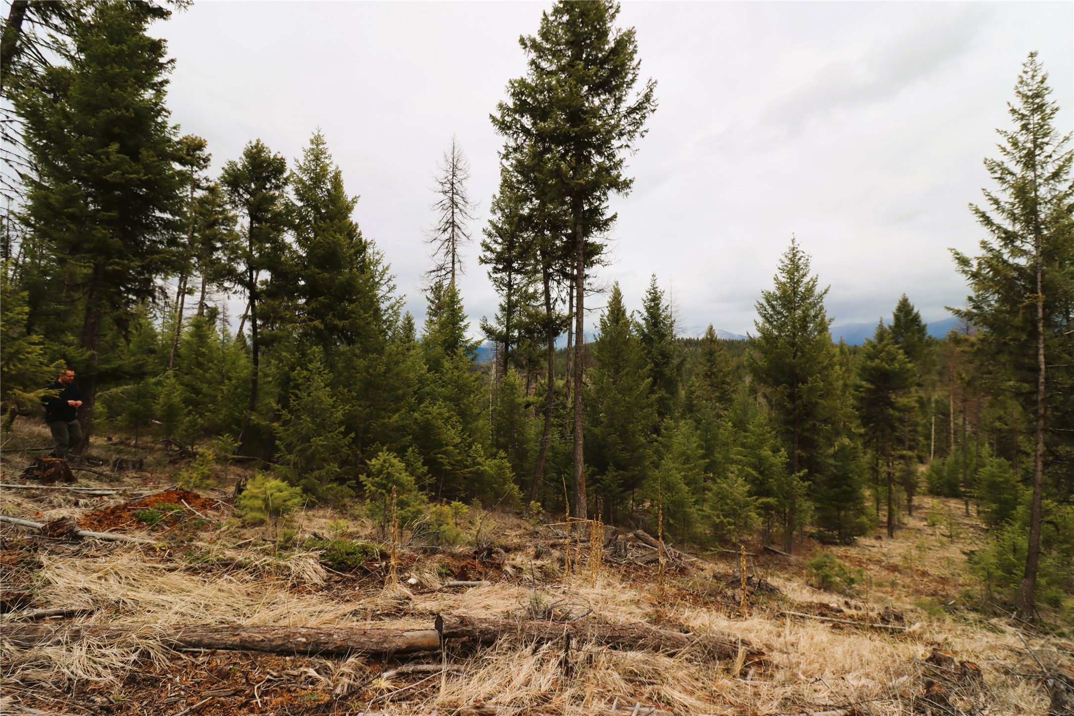 Nhn 120 Acres South Property Photo 54