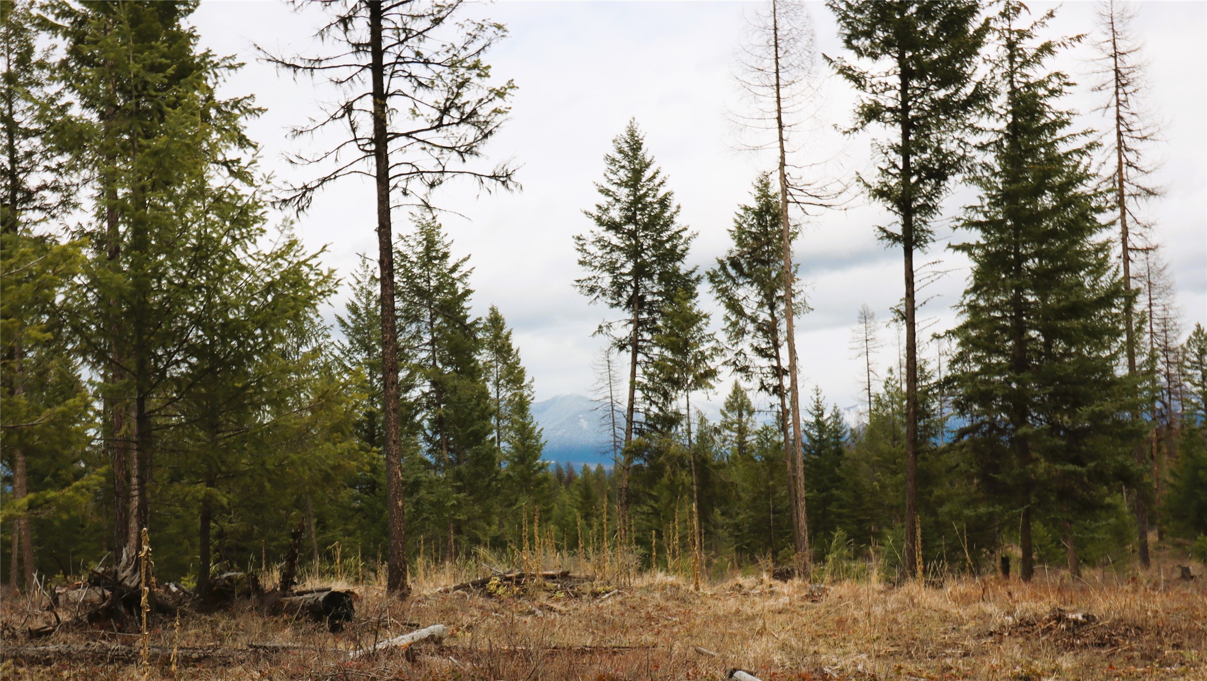 Nhn 120 Acres South Property Photo 61