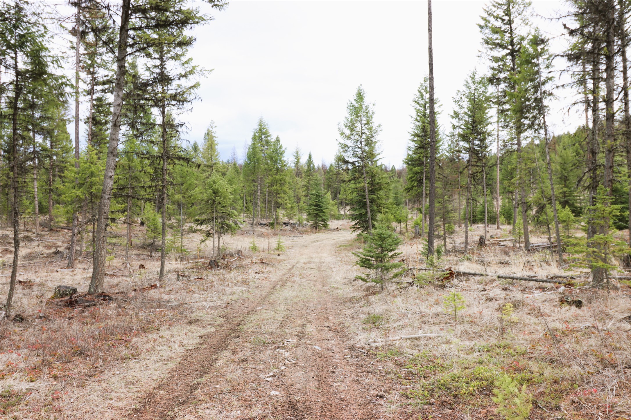 Nhn 120 Acres South Property Photo 62