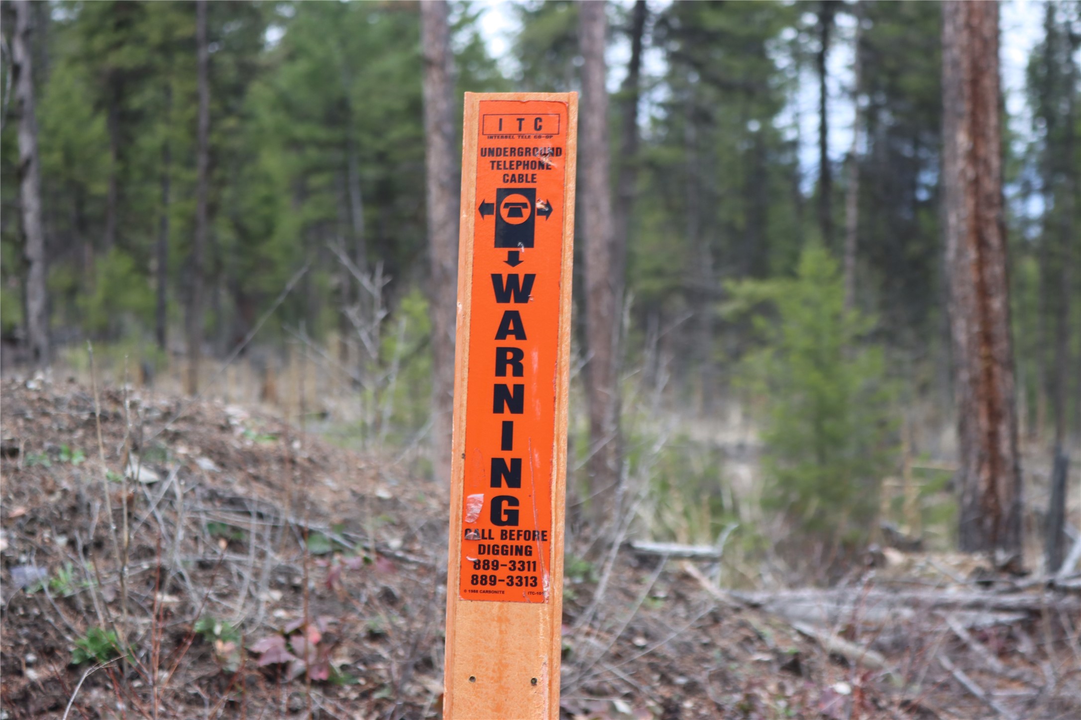 Nhn 120 Acres South Property Photo 65