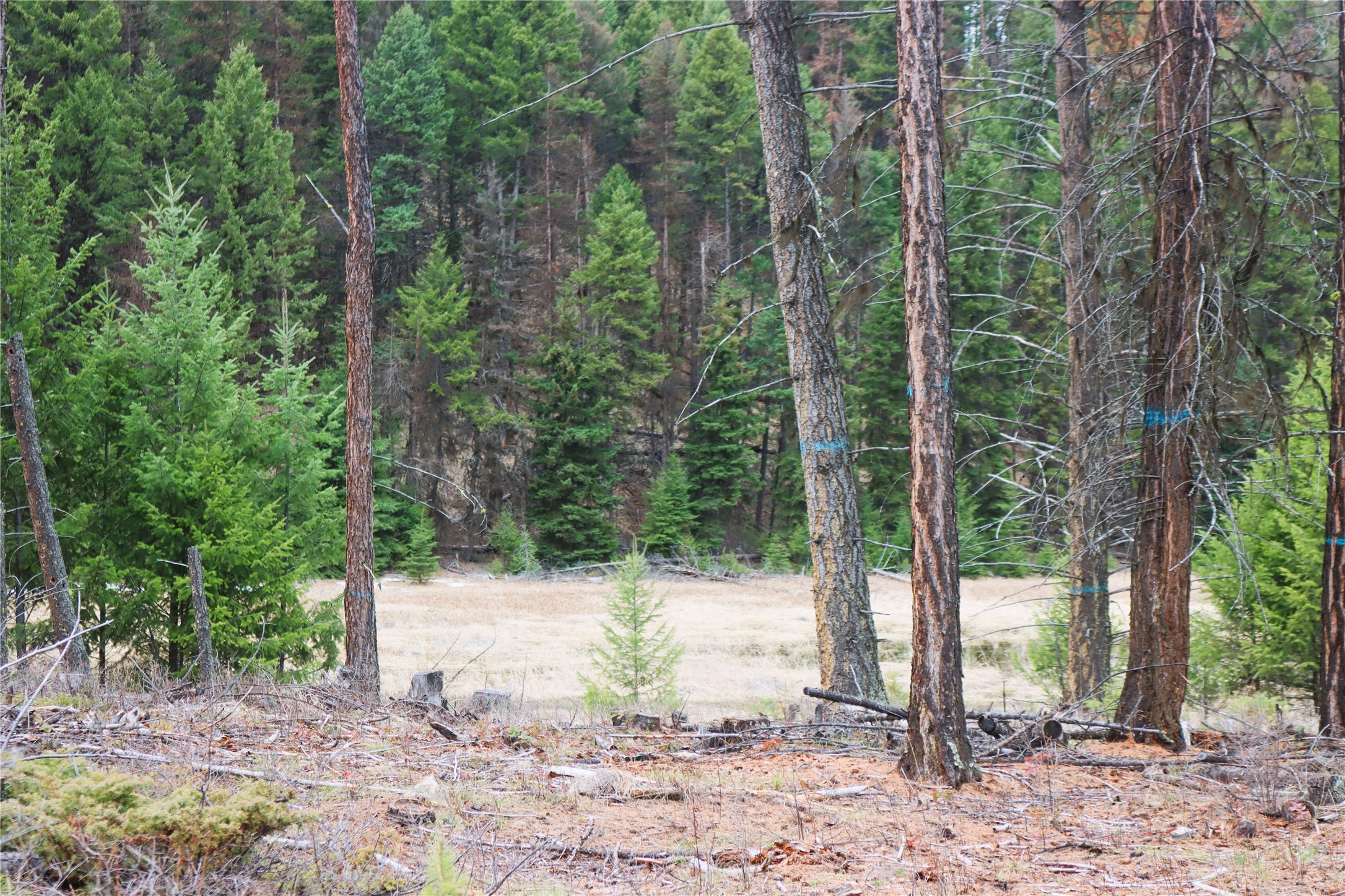 Nhn 120 Acres South Property Photo 66