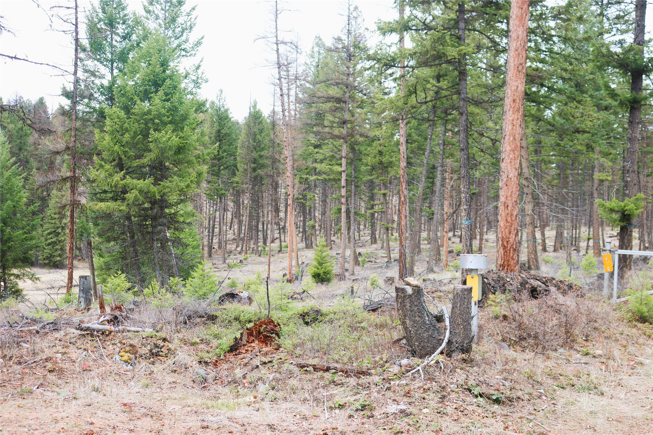 Nhn 120 Acres South Property Photo 67