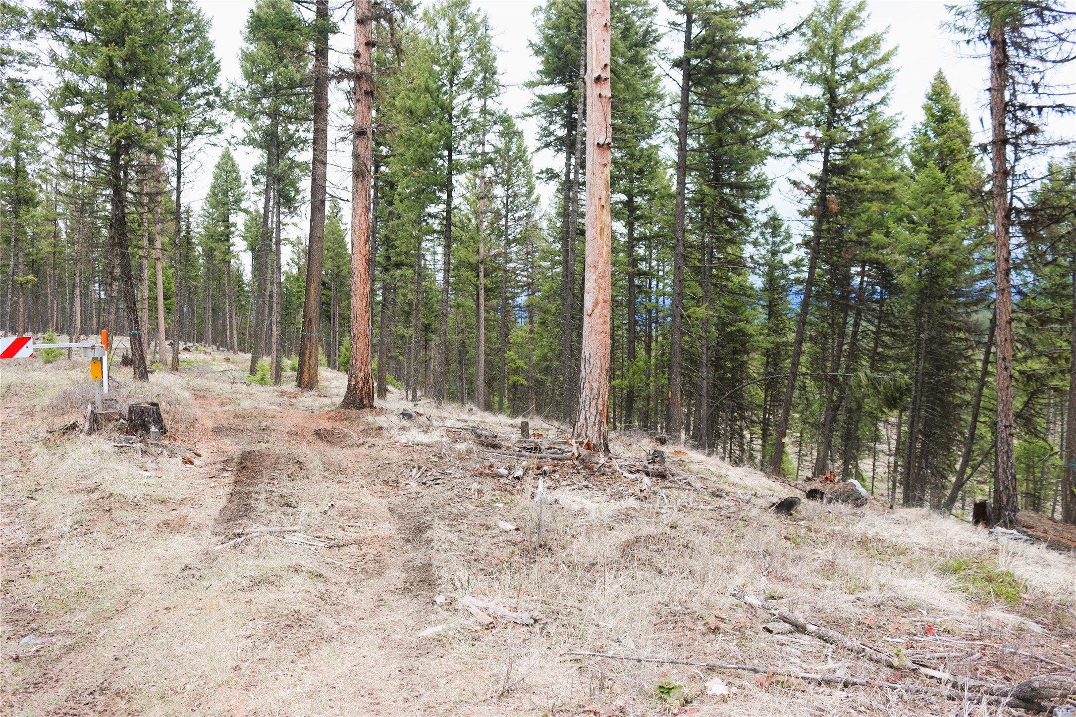 Nhn 120 Acres South Property Photo 68