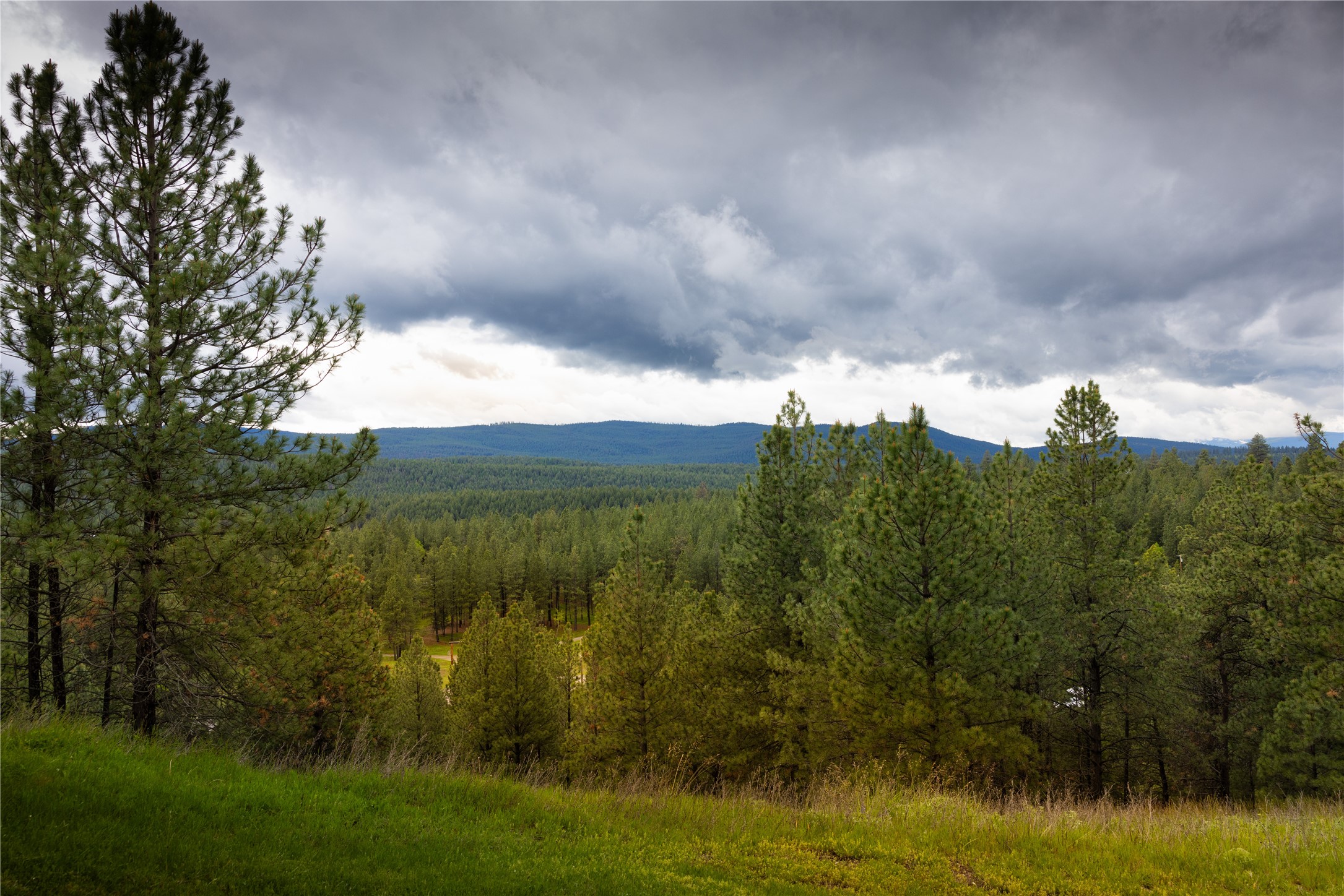 2801 Us Highway 93 S Property Photo 18