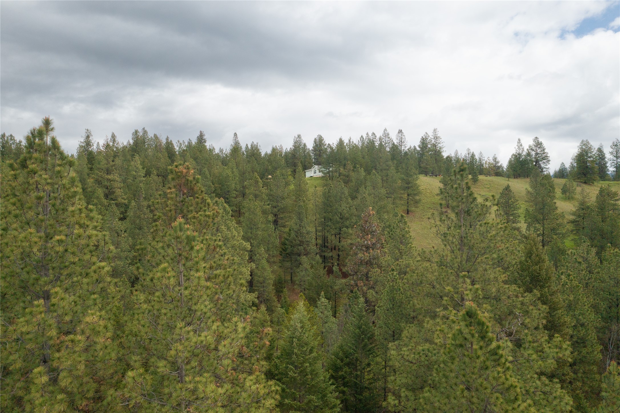 2801 Us Highway 93 S Property Photo 35