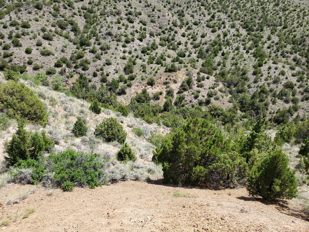 Tbd Lombard Road Property Photo 6