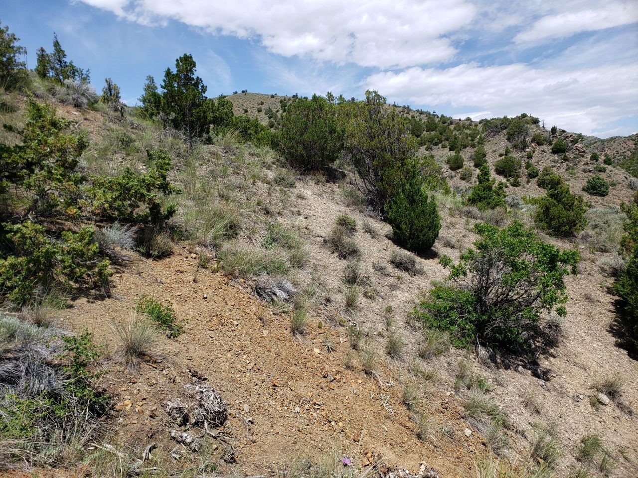 Tbd Lombard Road Property Photo 7