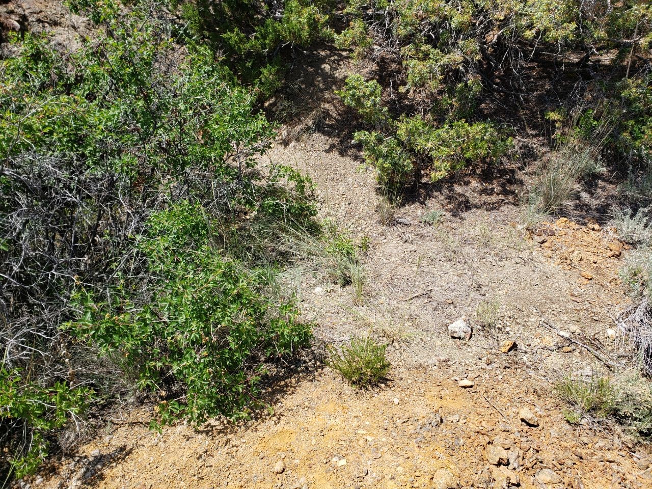 Tbd Lombard Road Property Photo 8