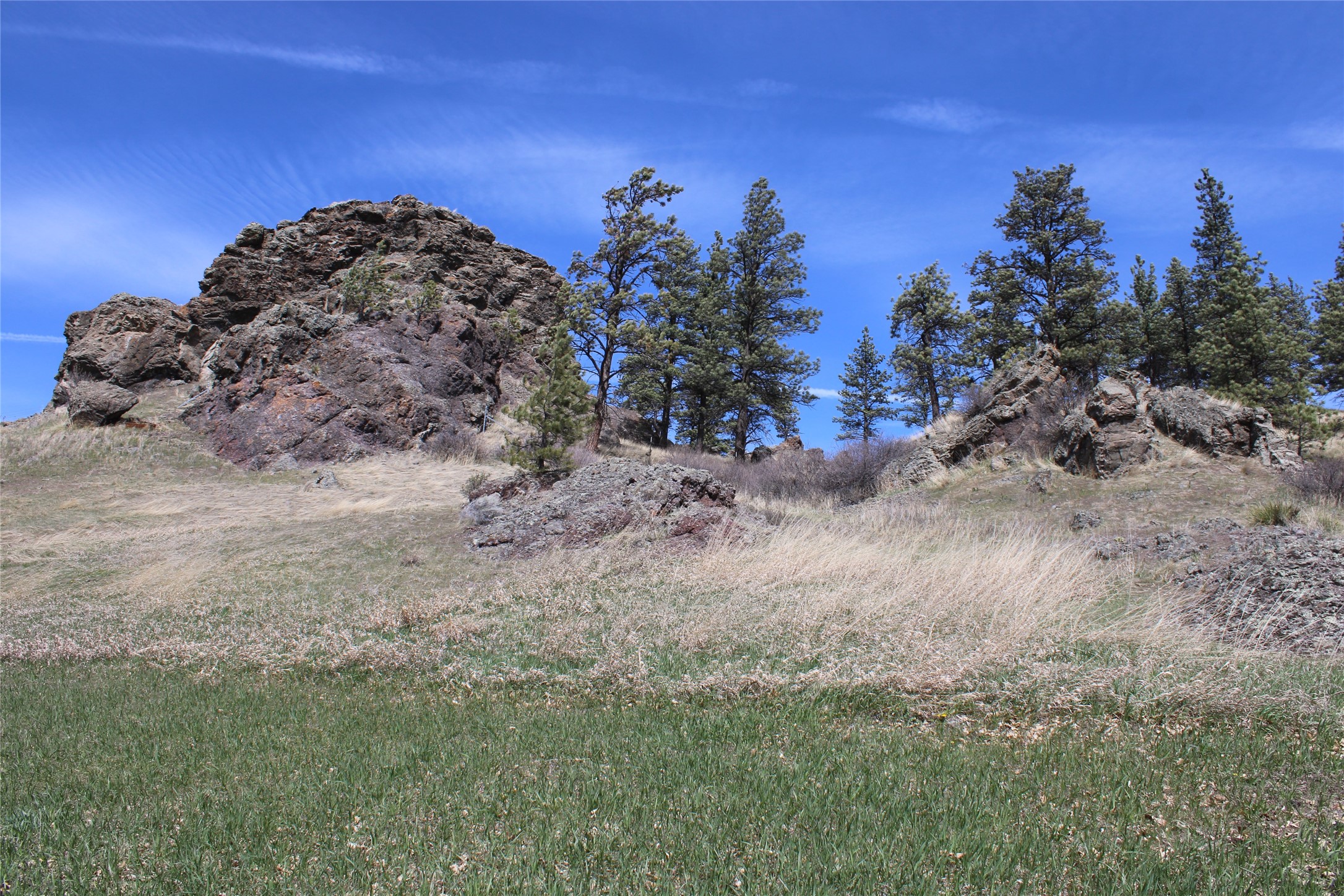 2973 Old Us Highway 91 Property Photo 41