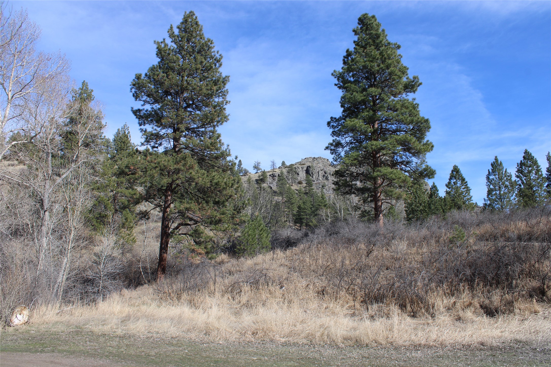 2973 Old Us Highway 91 Property Photo 57