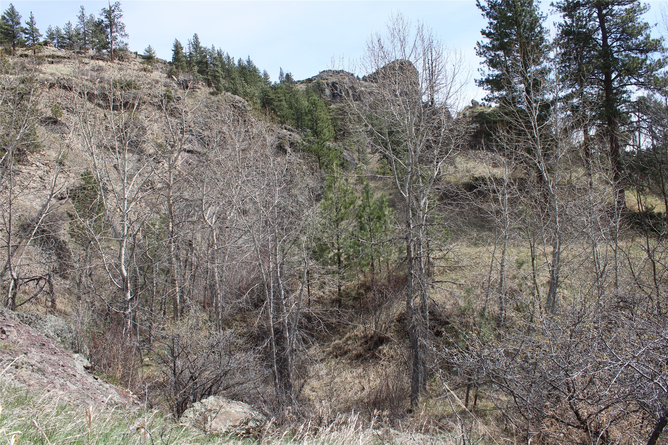 2973 Old Us Highway 91 Property Photo 59