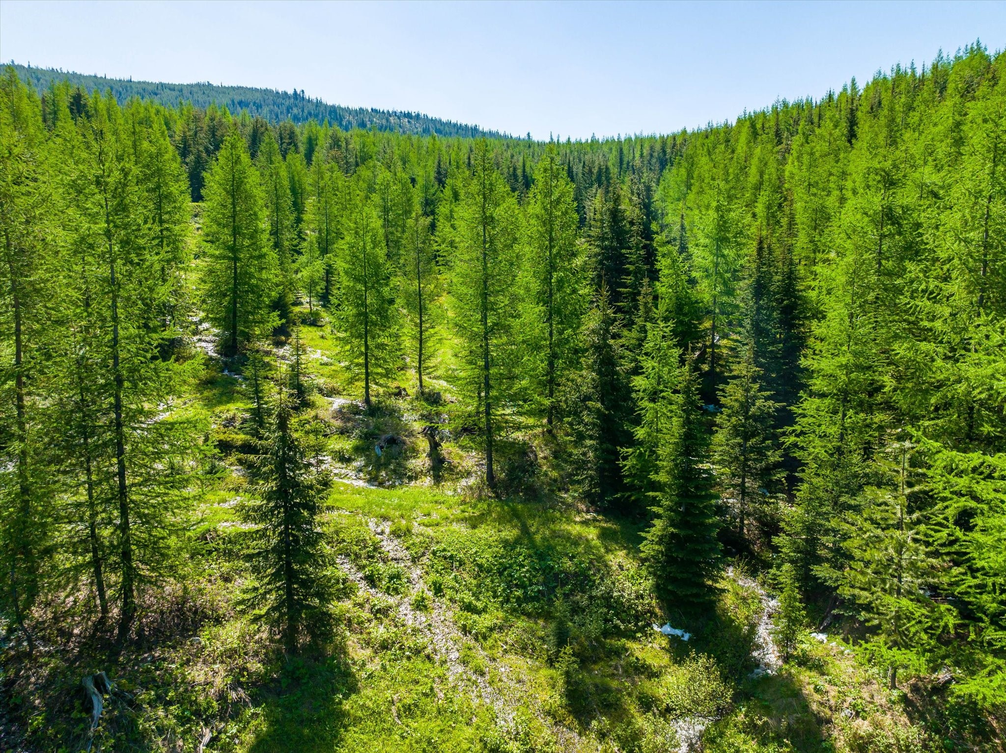 Nhn Griffin Creek Road Property Photo 1