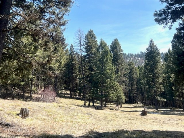 990 Elkhorn Road Property Photo 1