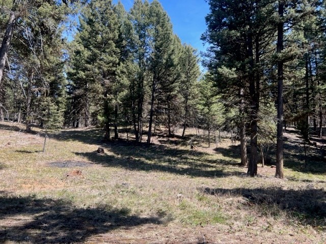 990 Elkhorn Road Property Photo 4