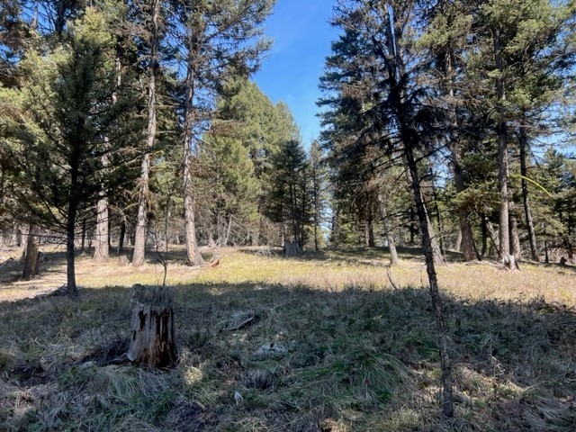 990 Elkhorn Road Property Photo 6