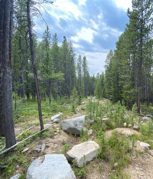 Nhn Granite Access Michael Davitt Lode Property Photo