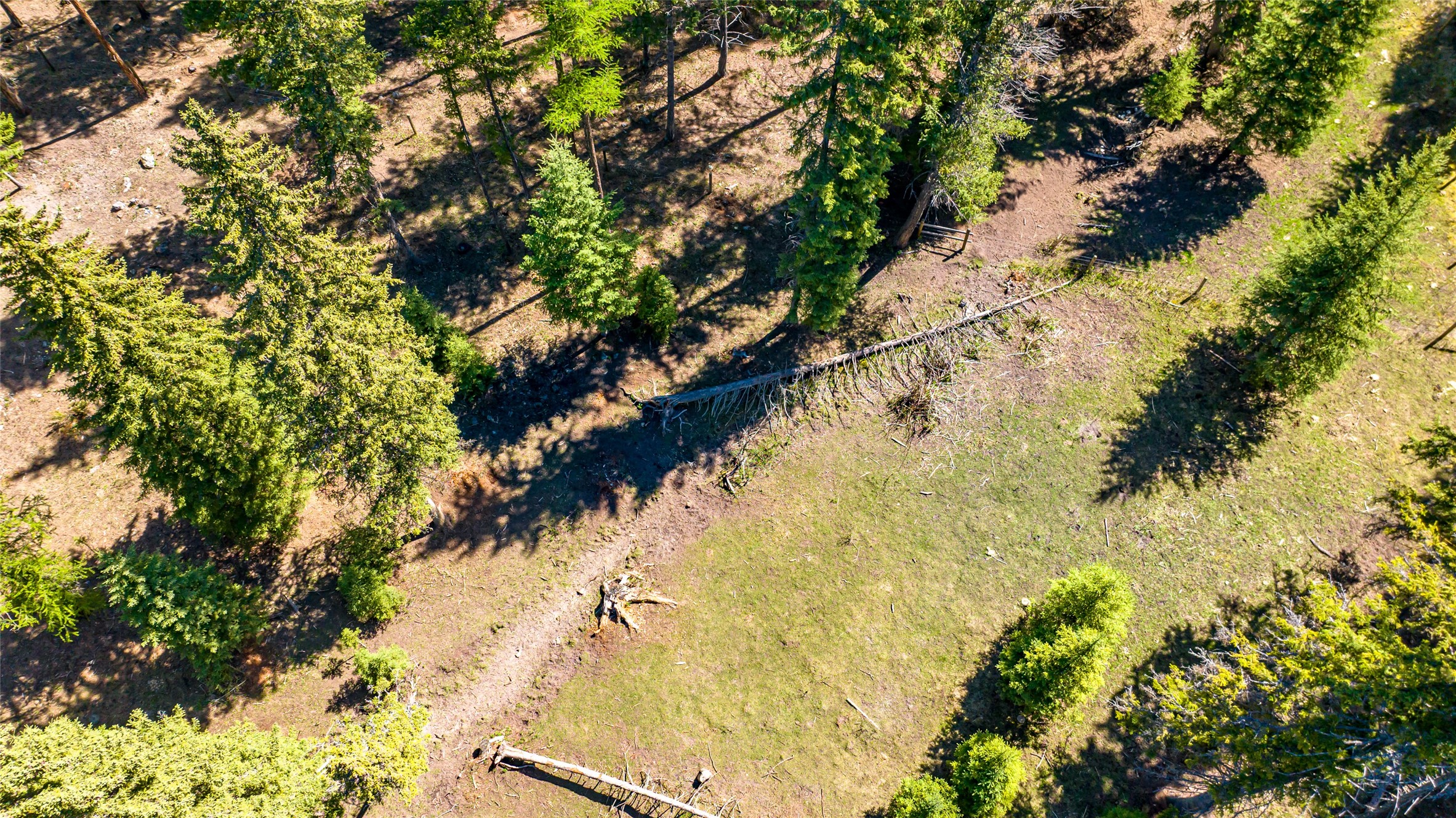 1200 Lost Creek Drive Property Photo 84