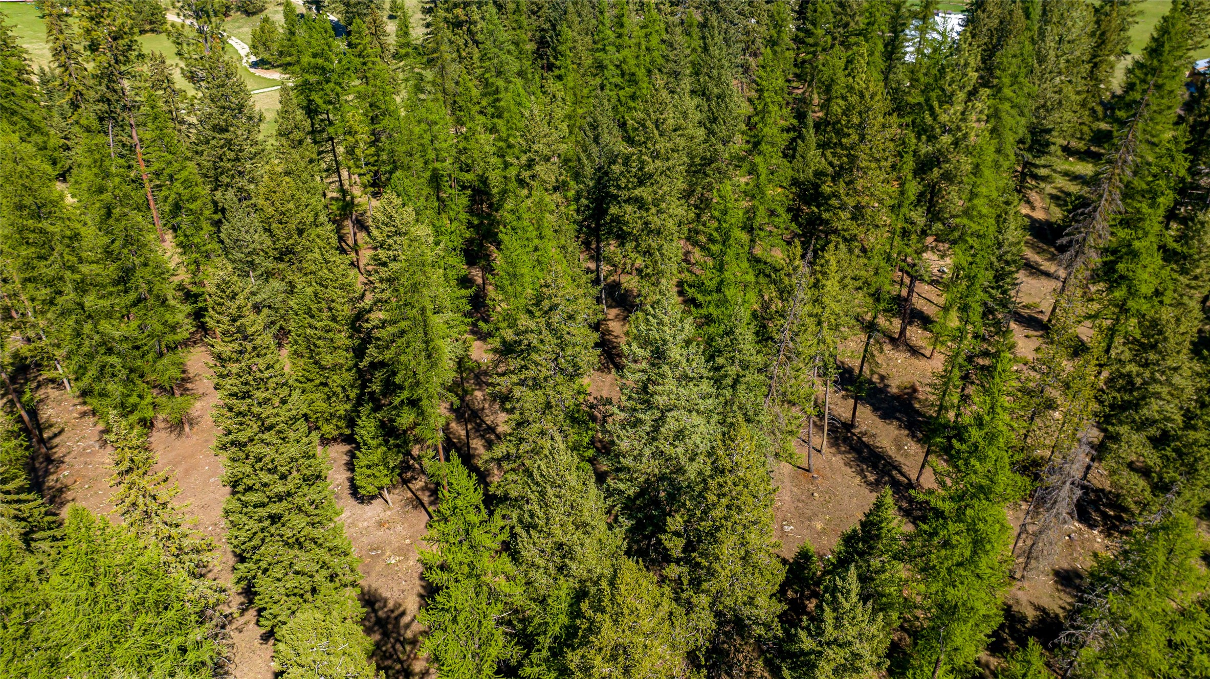 1200 Lost Creek Drive Property Photo 85