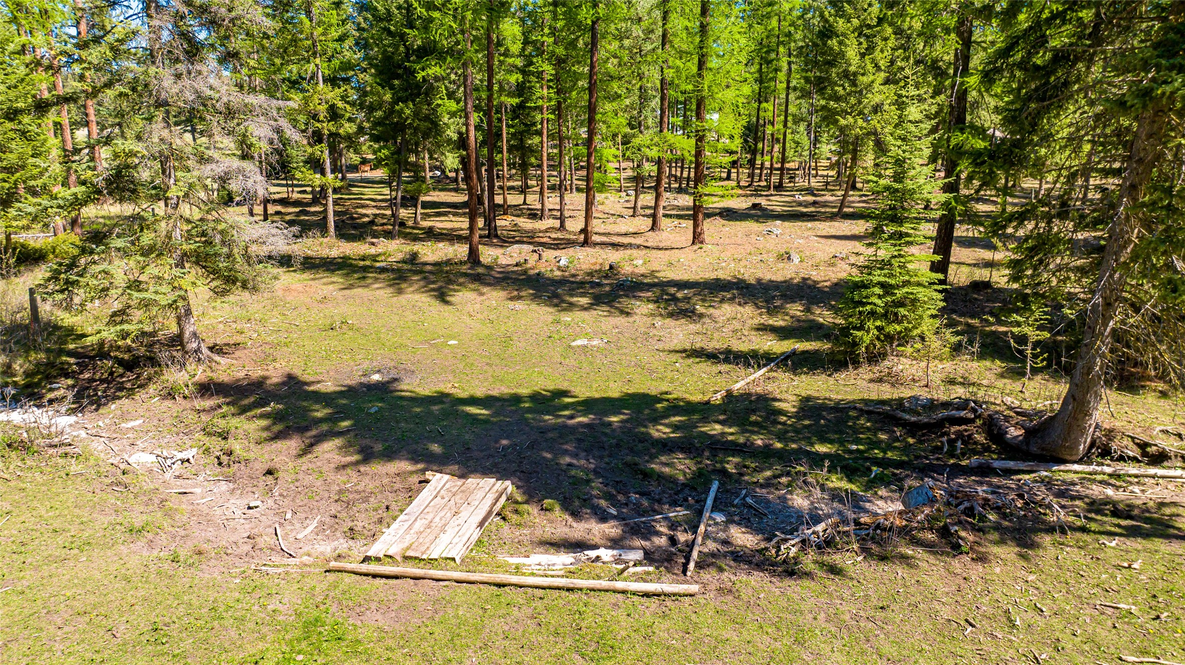 1200 Lost Creek Drive Property Photo 91