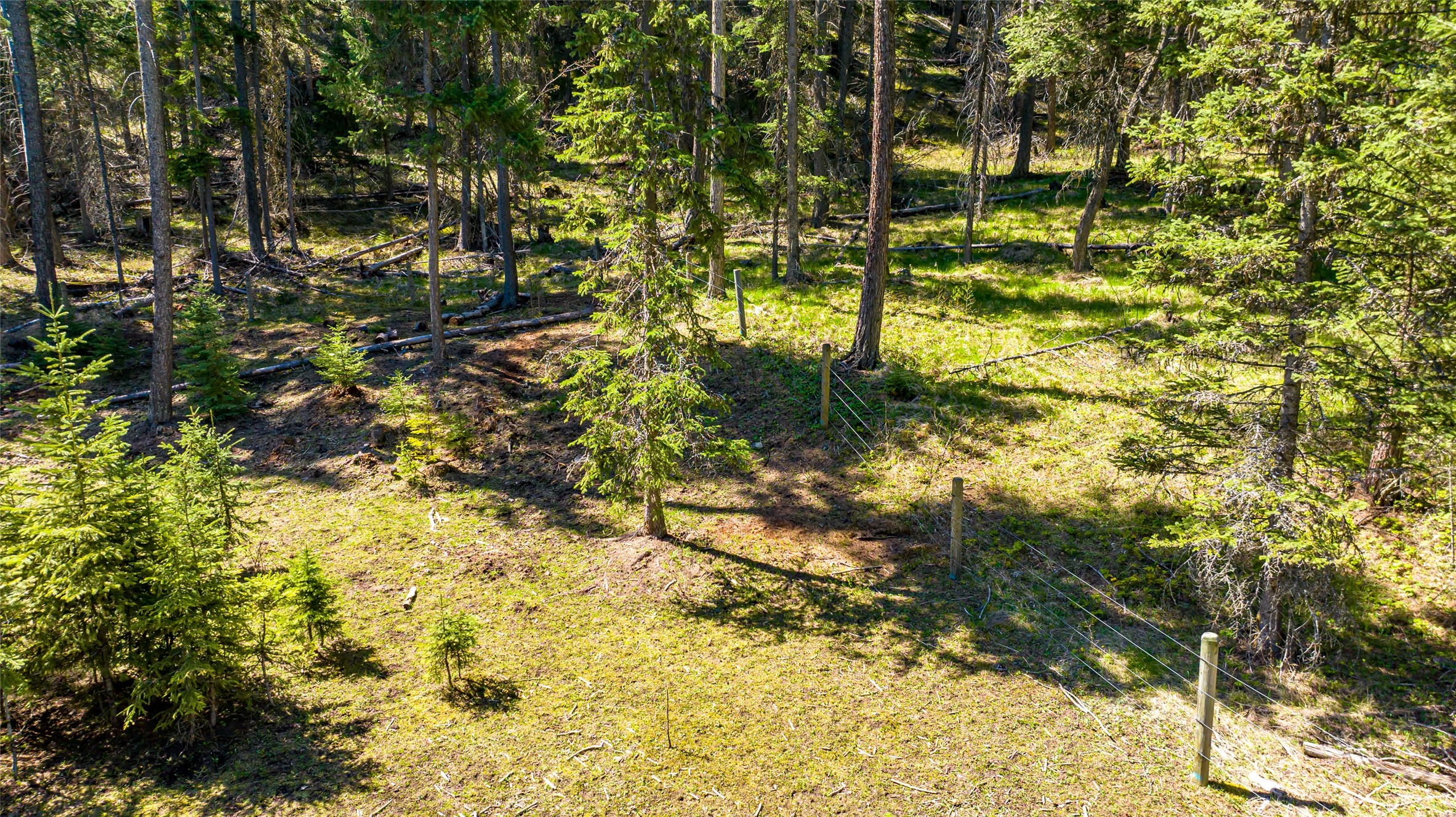 1200 Lost Creek Drive Property Photo 92